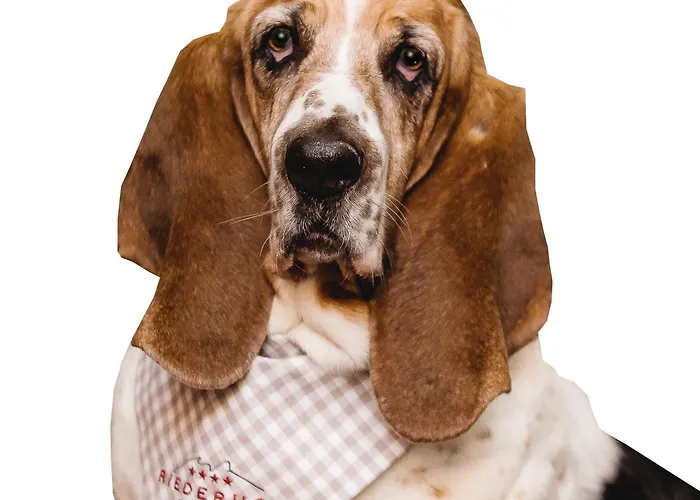 Riederhof- Urlaub Mit Wau!