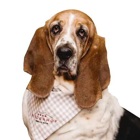 Riederhof- Urlaub Mit Wau!